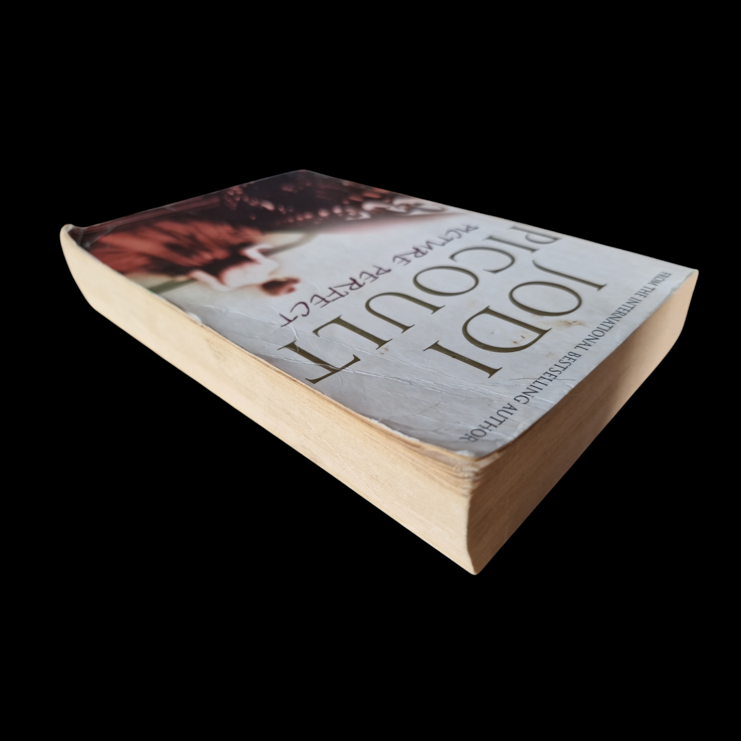 Jodi Picoult- Picture Perfect image 5