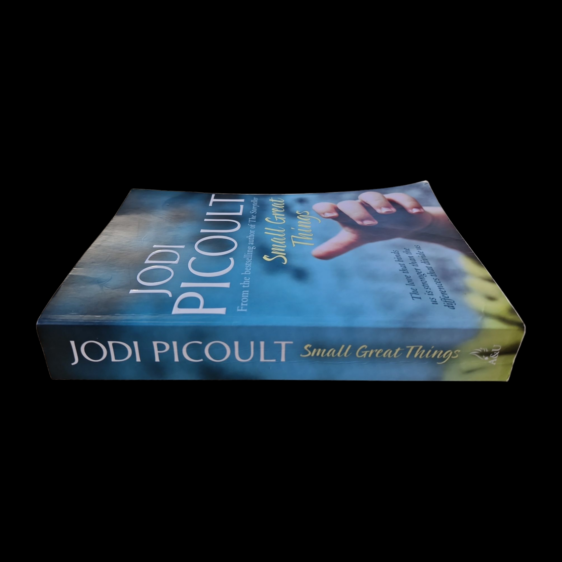 Jodi Picoult- Small Great Things image 3