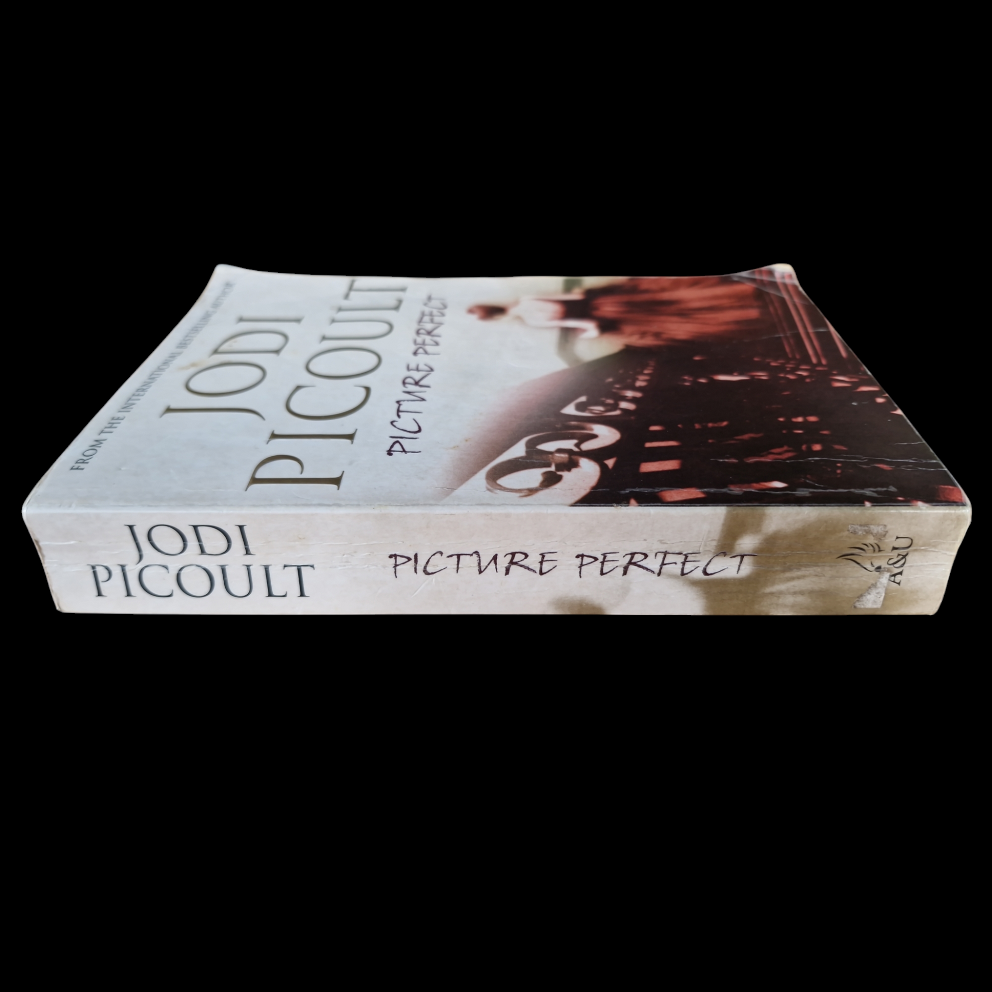 Jodi Picoult- Picture Perfect image 3