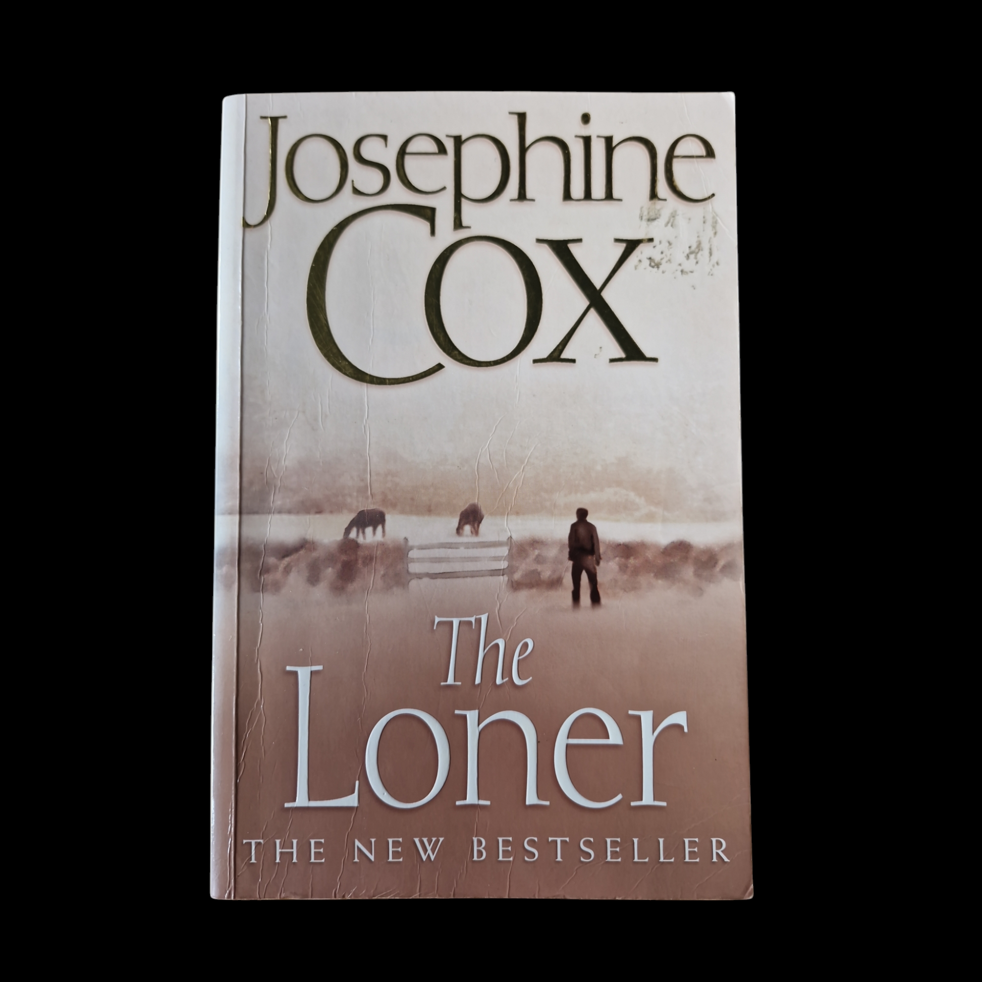 Josephine Cox- The Loner image 1