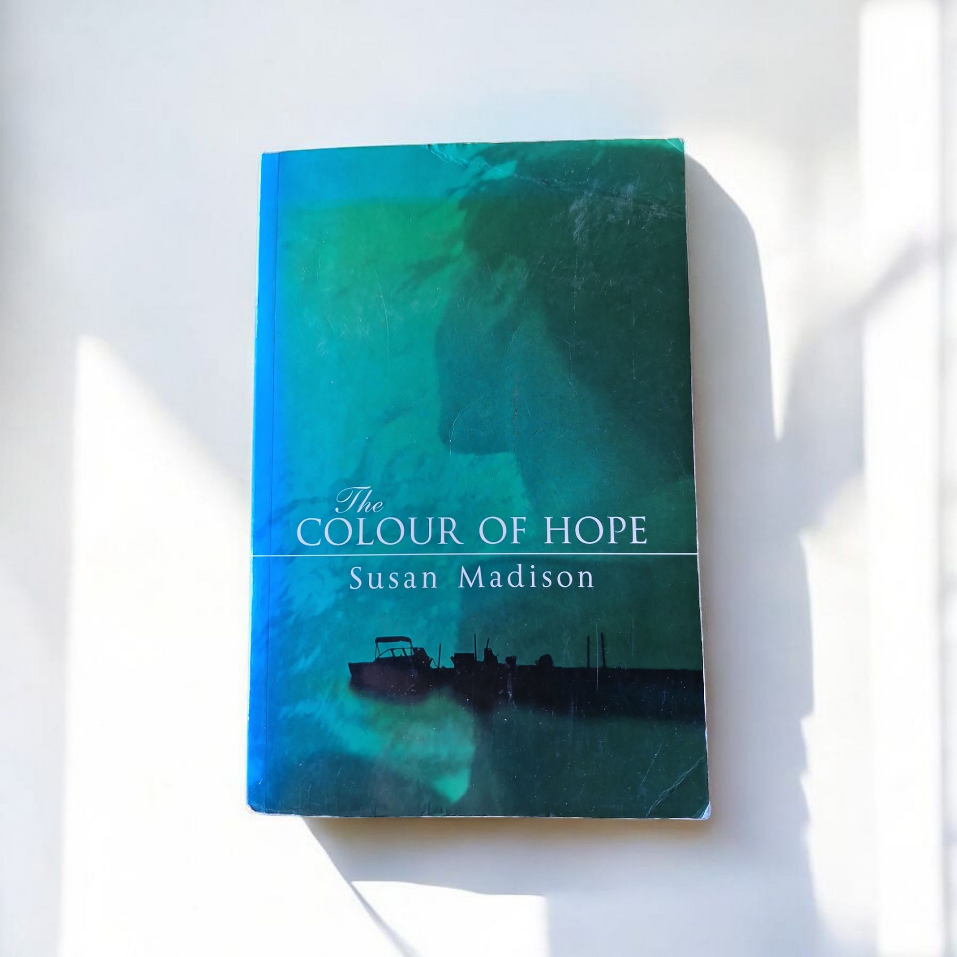 Susan Madison- The Colour Of Hope image 0