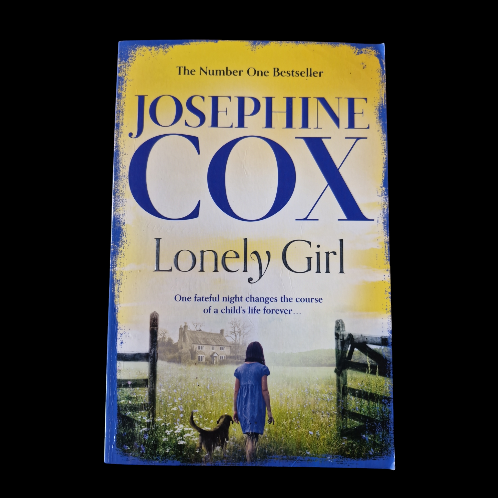 Josephine Cox- Lonely Girl image 1