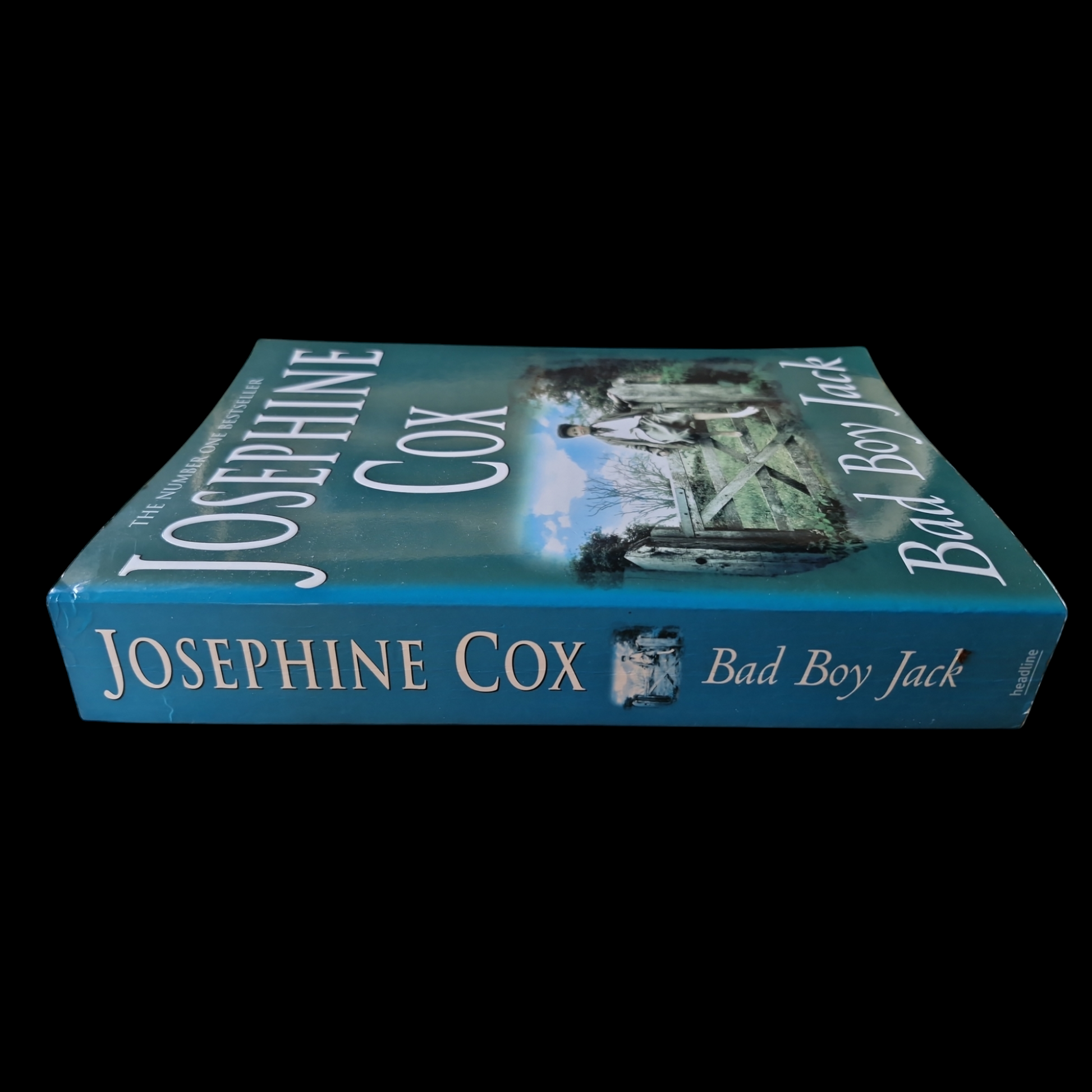 Josephine Cox- Bad Boy Jack image 3
