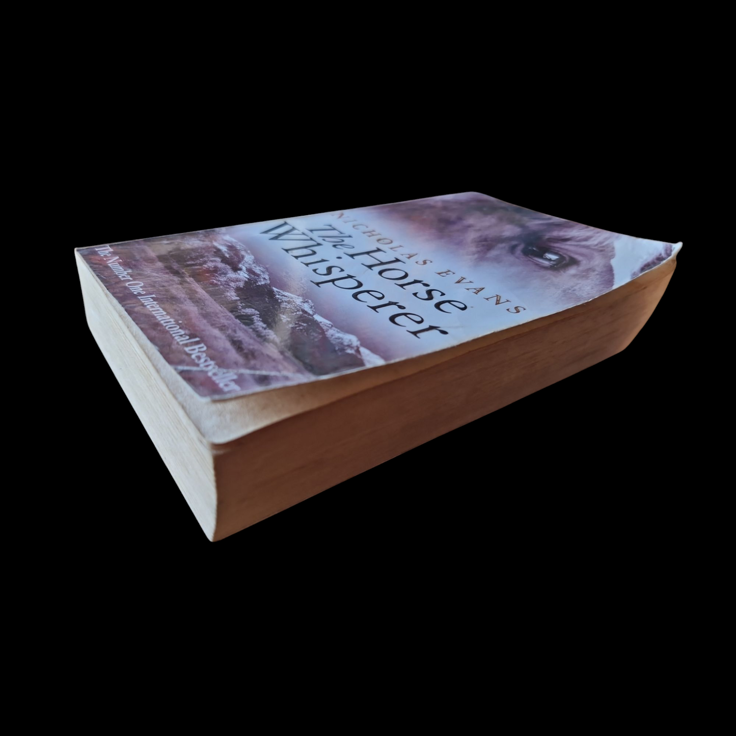 Nicholas Evans- The Horse Whisperer image 4