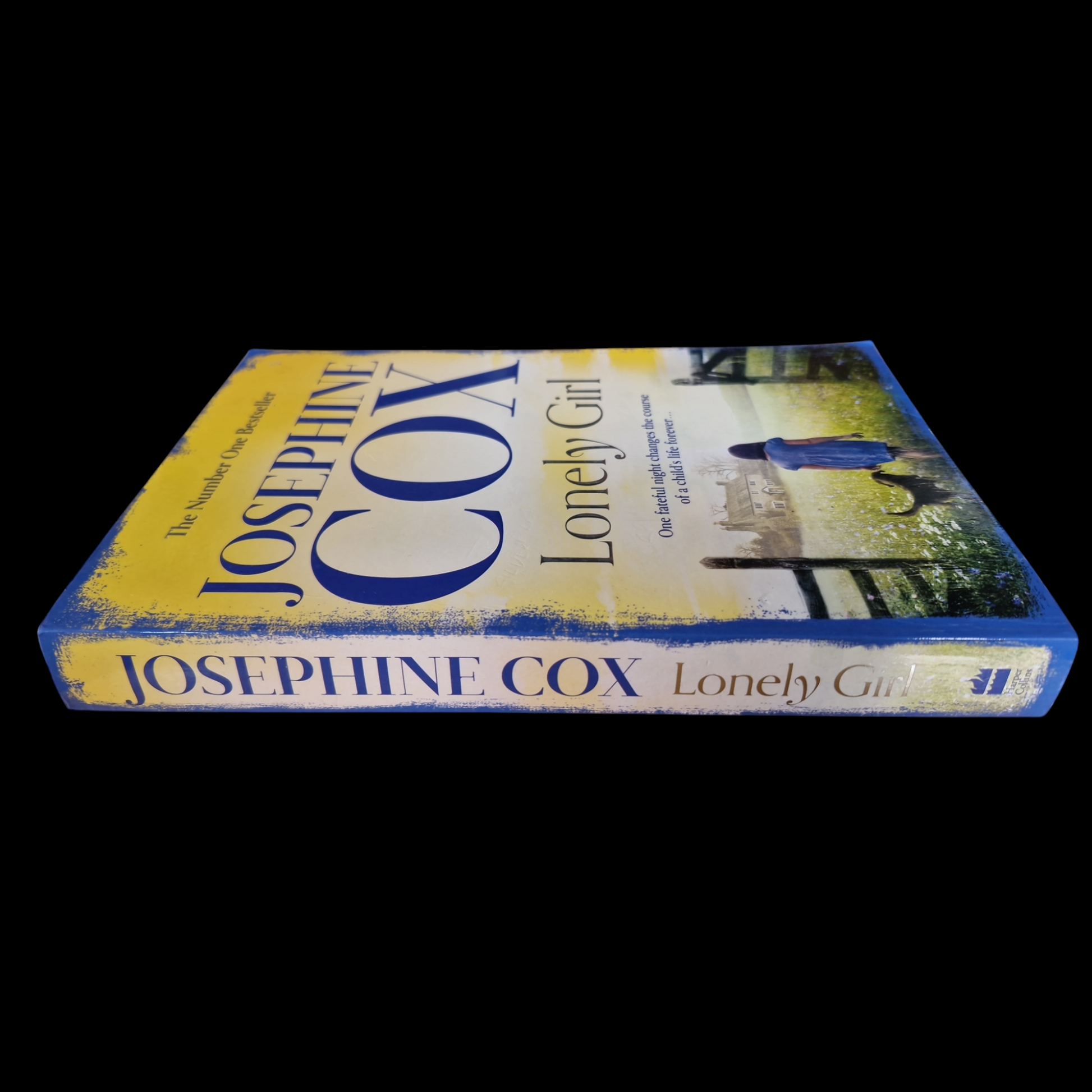 Josephine Cox- Lonely Girl image 3