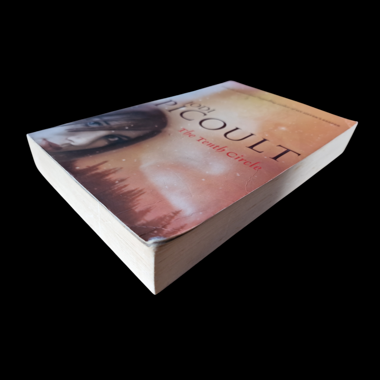Jodi Picoult- The Tenth Circle image 4
