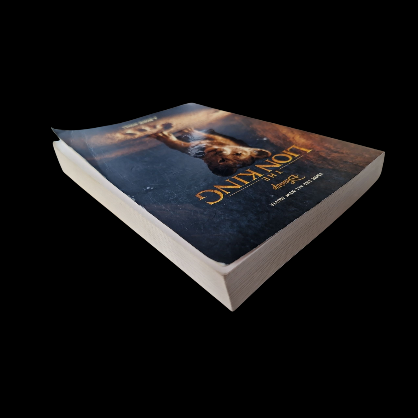 A Movie Novel- Disneys- The Lion King