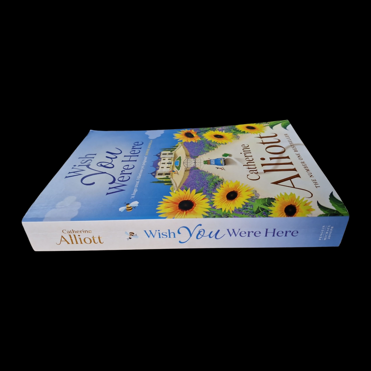 Catherine Alliott- Wish You Were Here