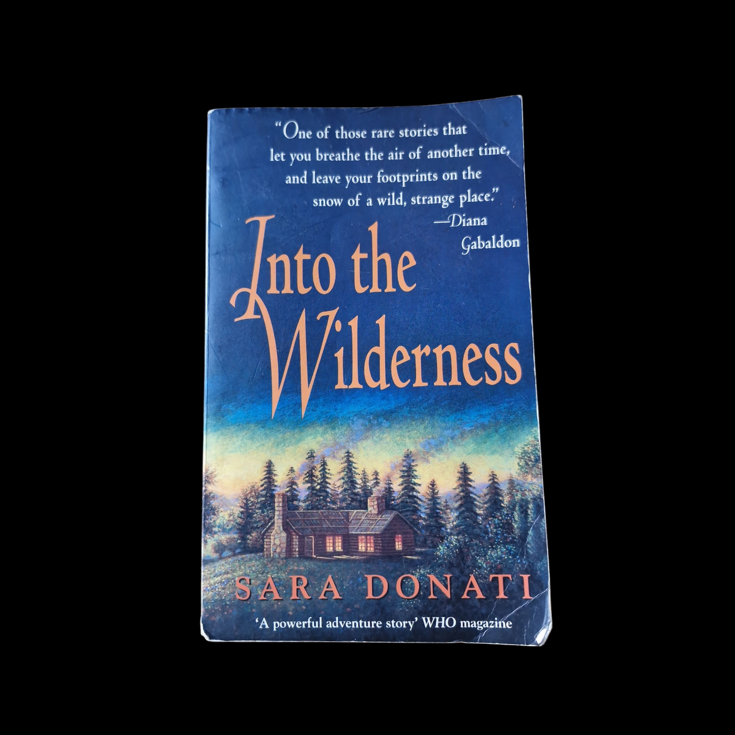 Sara Donati - Into The Wilderness