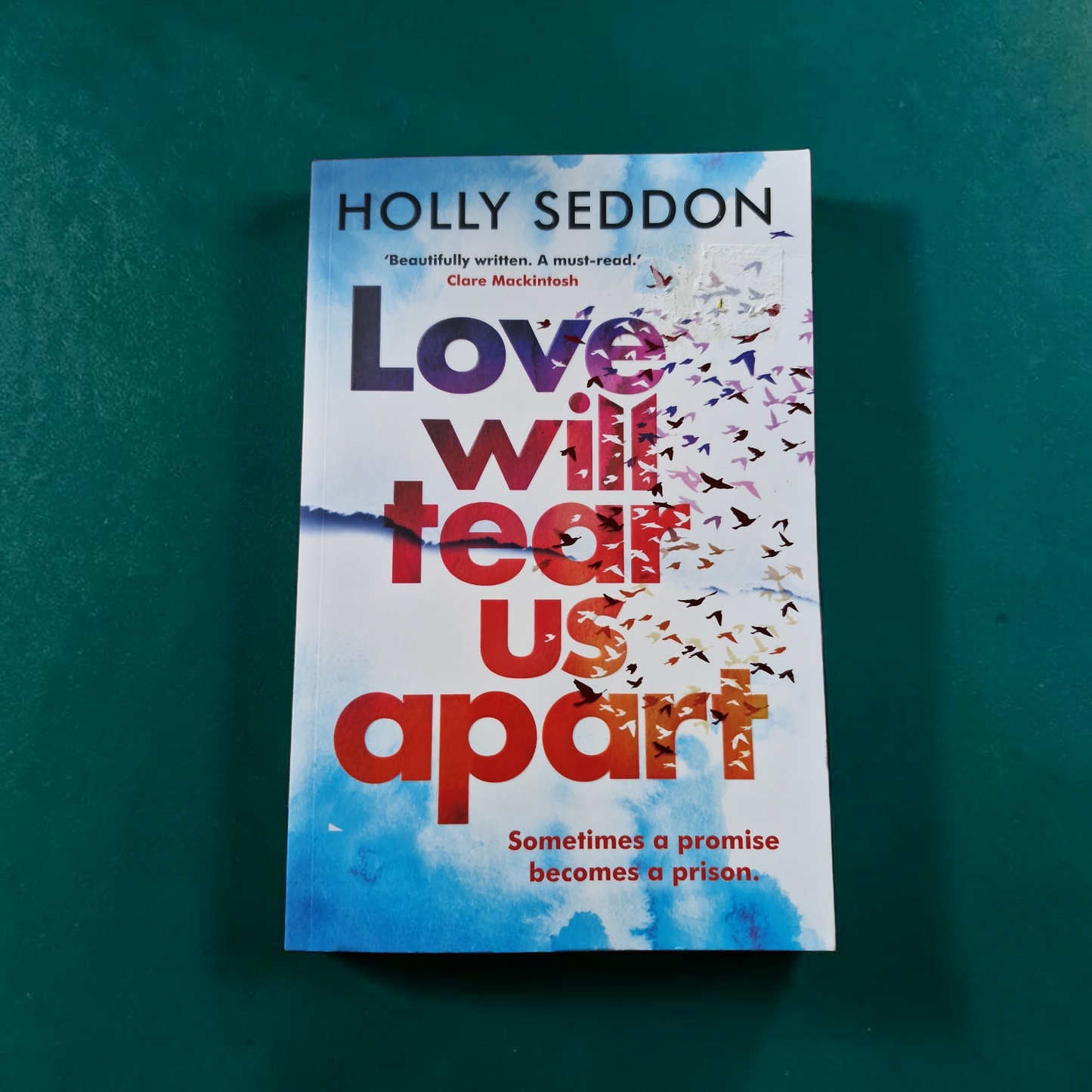 Holly Seddon- Love Will Tear Us Apart
