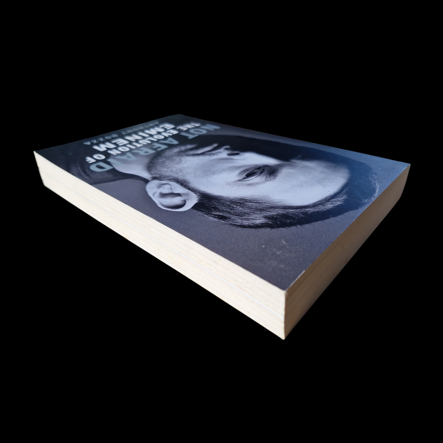 Anthony Bozza- Not Afraid The Evolution of Eminem