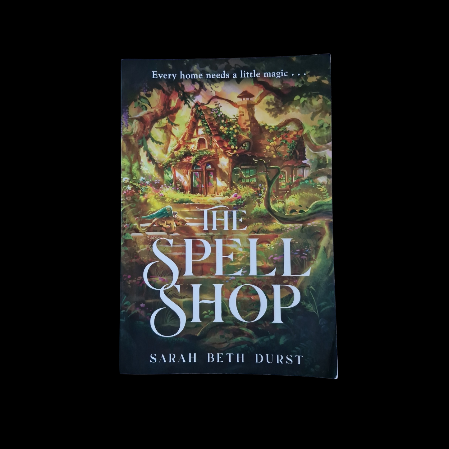Sarah Beth Durst- The Spell Shop