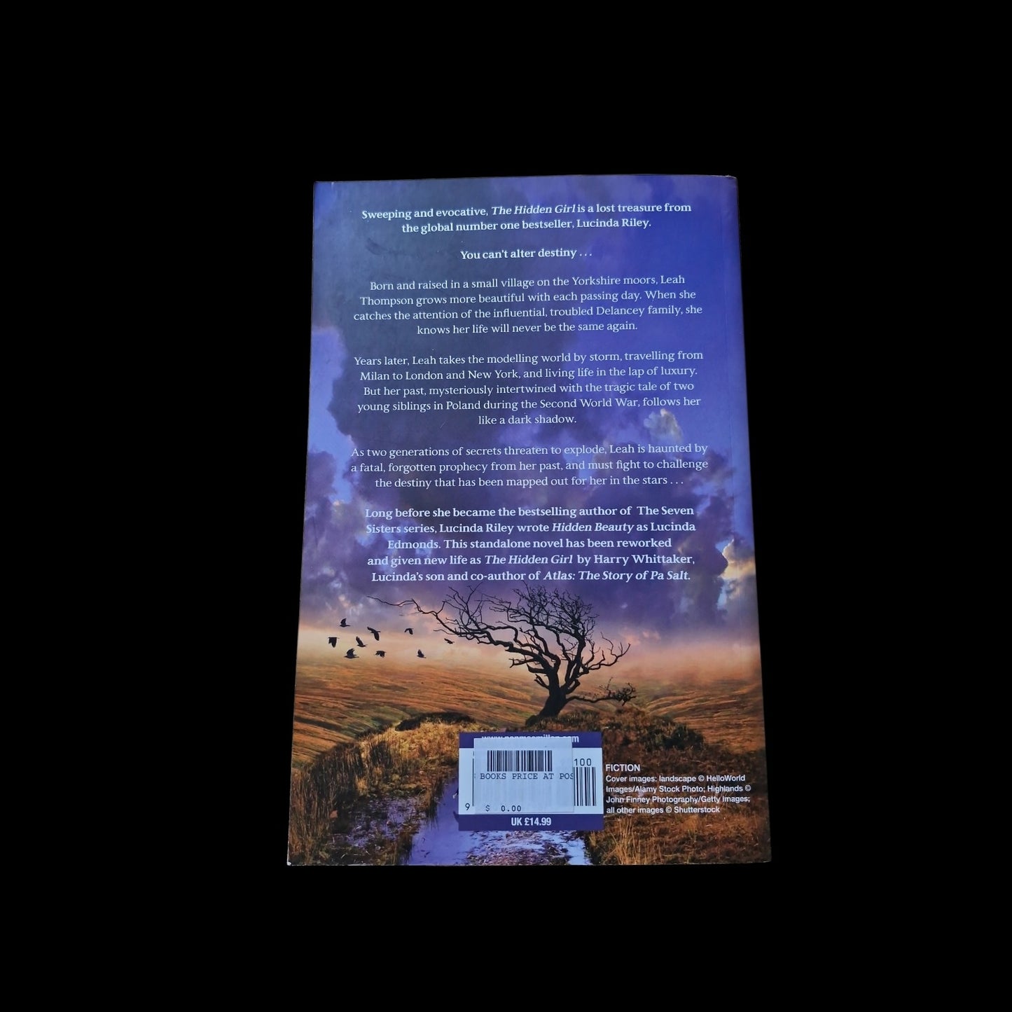 Lucinda Riley- The Hidden Girl