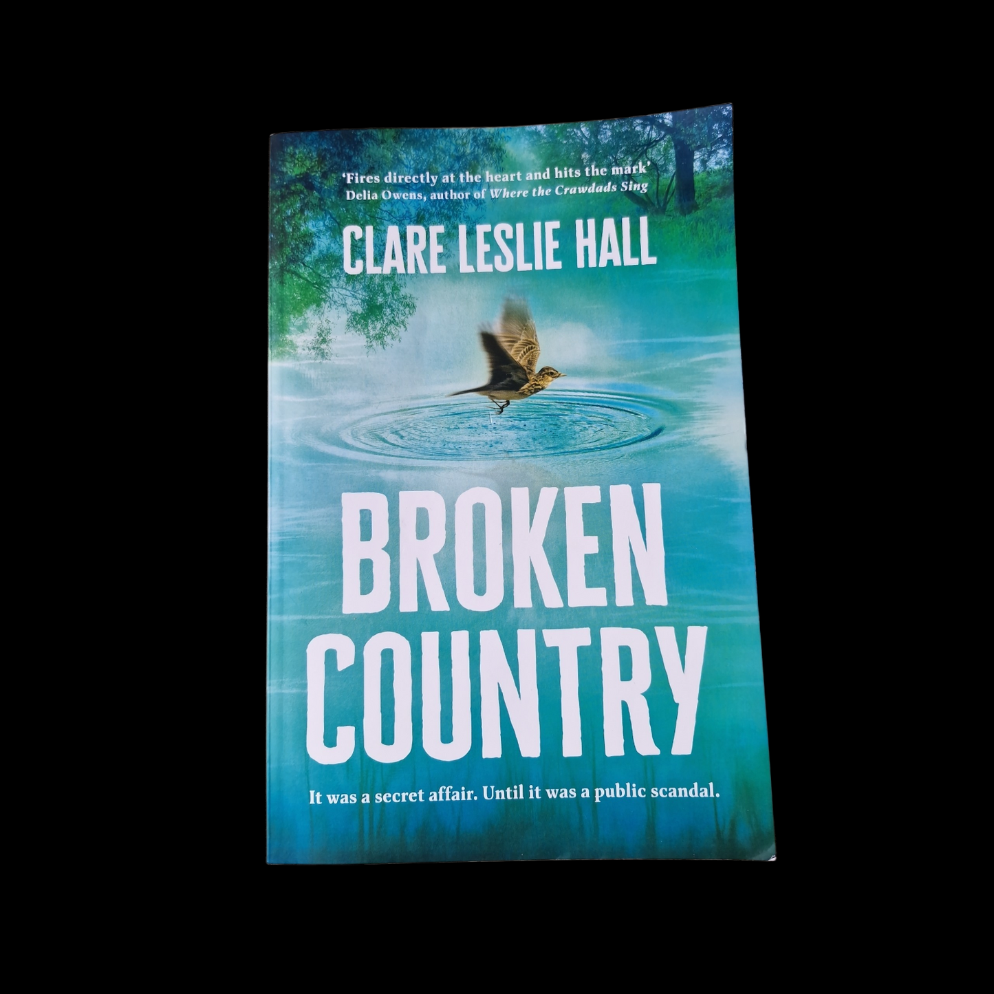 Clare Leslie Hall- Broken Country