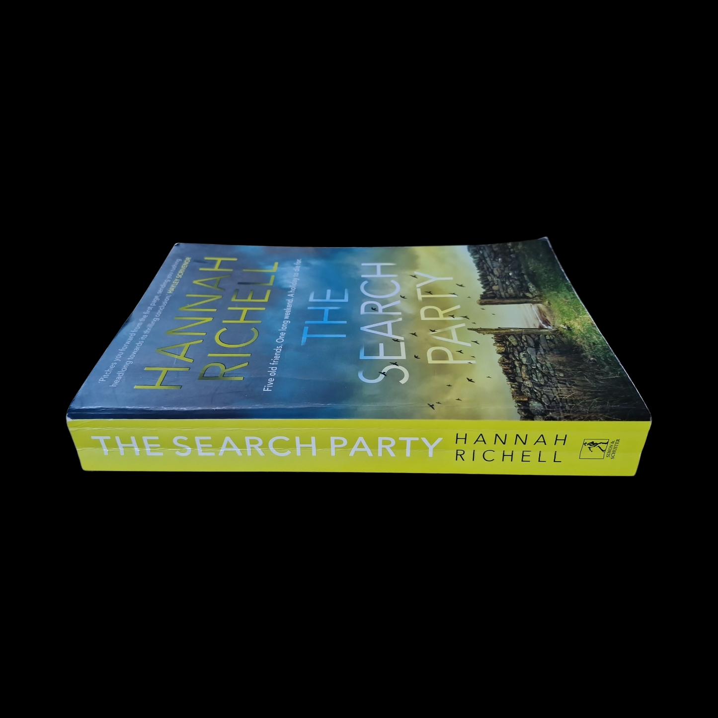 Hannah Richell- The Search Party