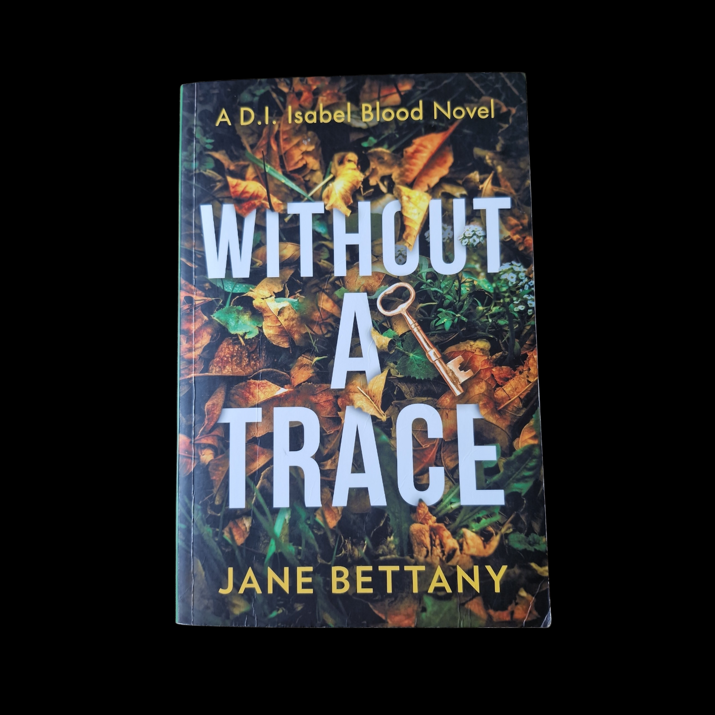 Jane Bettany- Without A Trace
