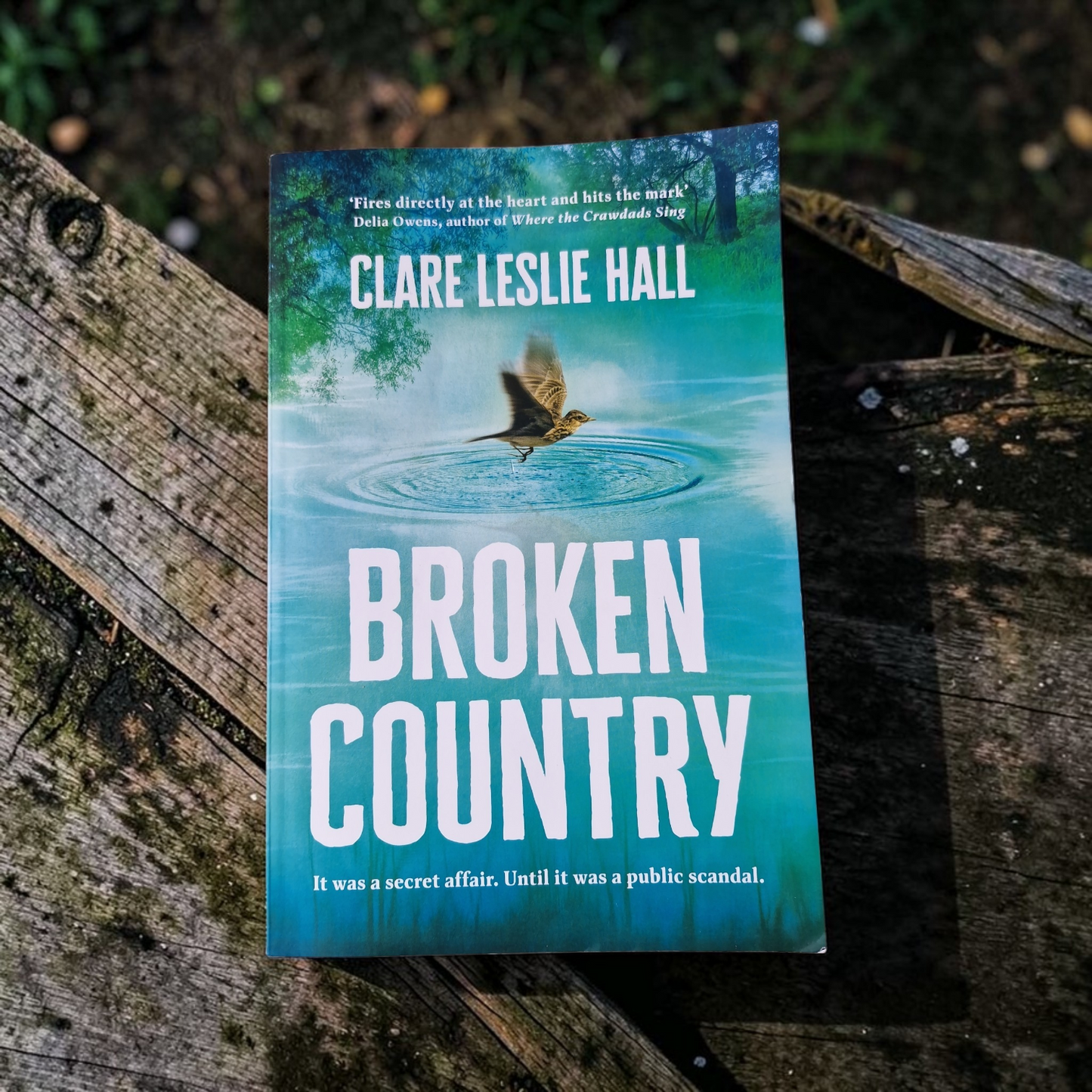 Clare Leslie Hall- Broken Country