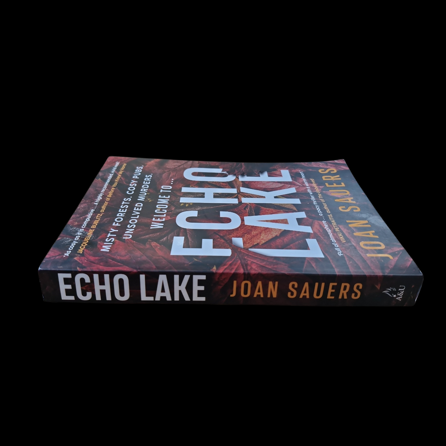 Joan Sauers- Echo Lake