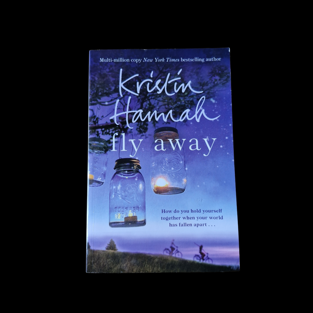 Kristin Hannah- Fly Away
