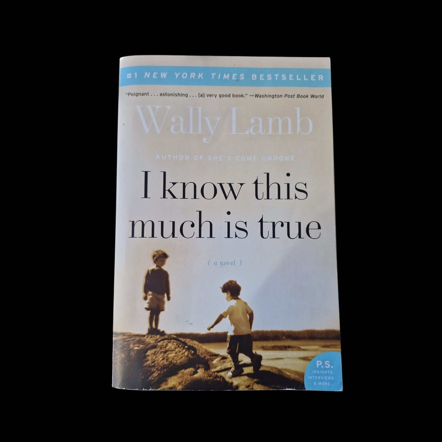 Wally Lamb- I Know This Much Is True