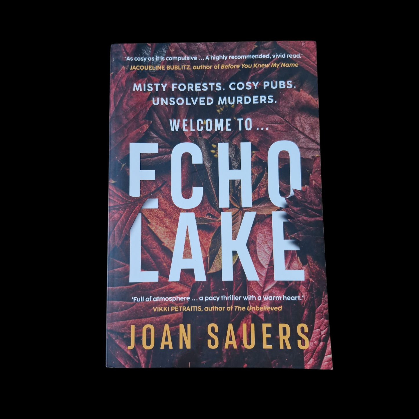 Joan Sauers- Echo Lake
