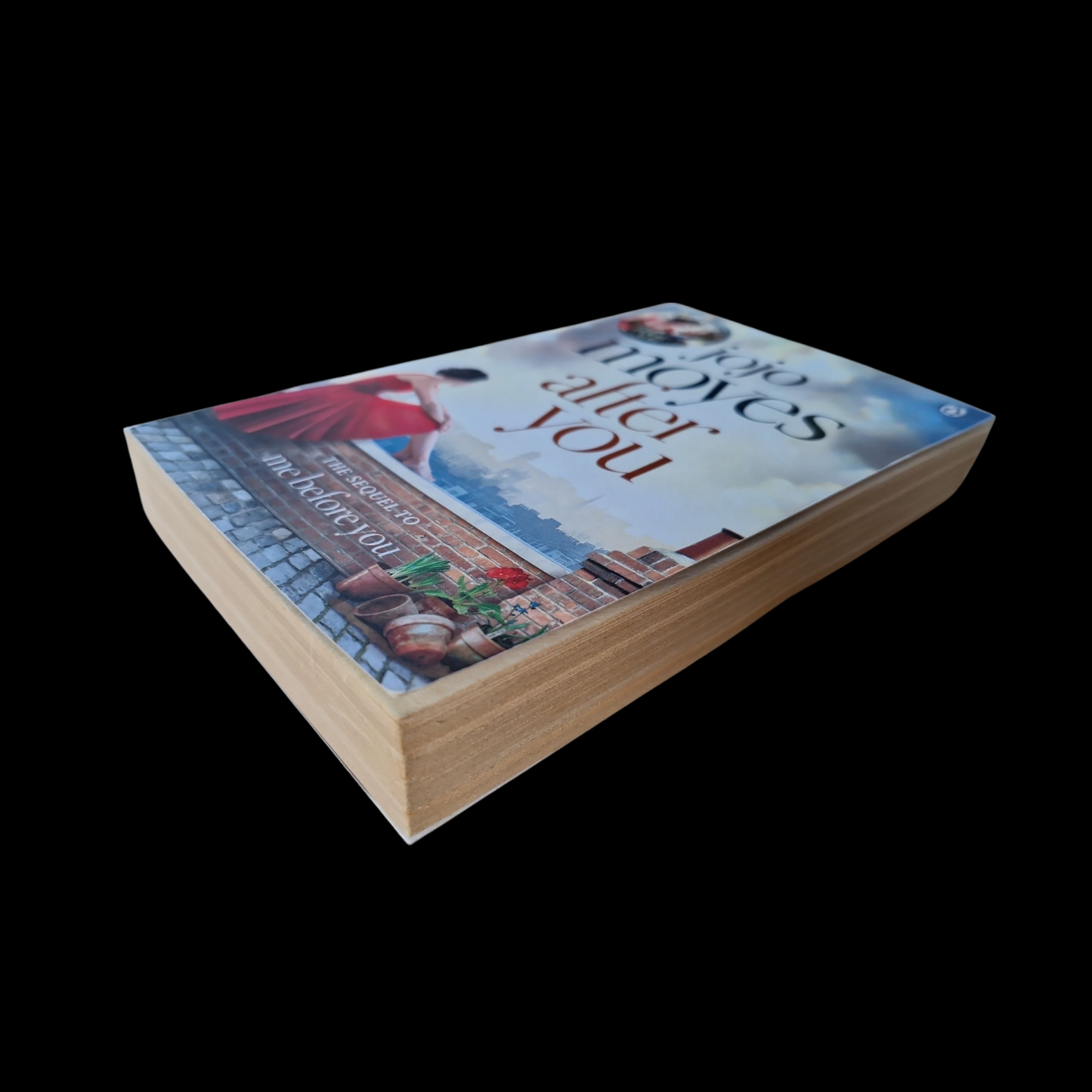Jojo Moyes- After You