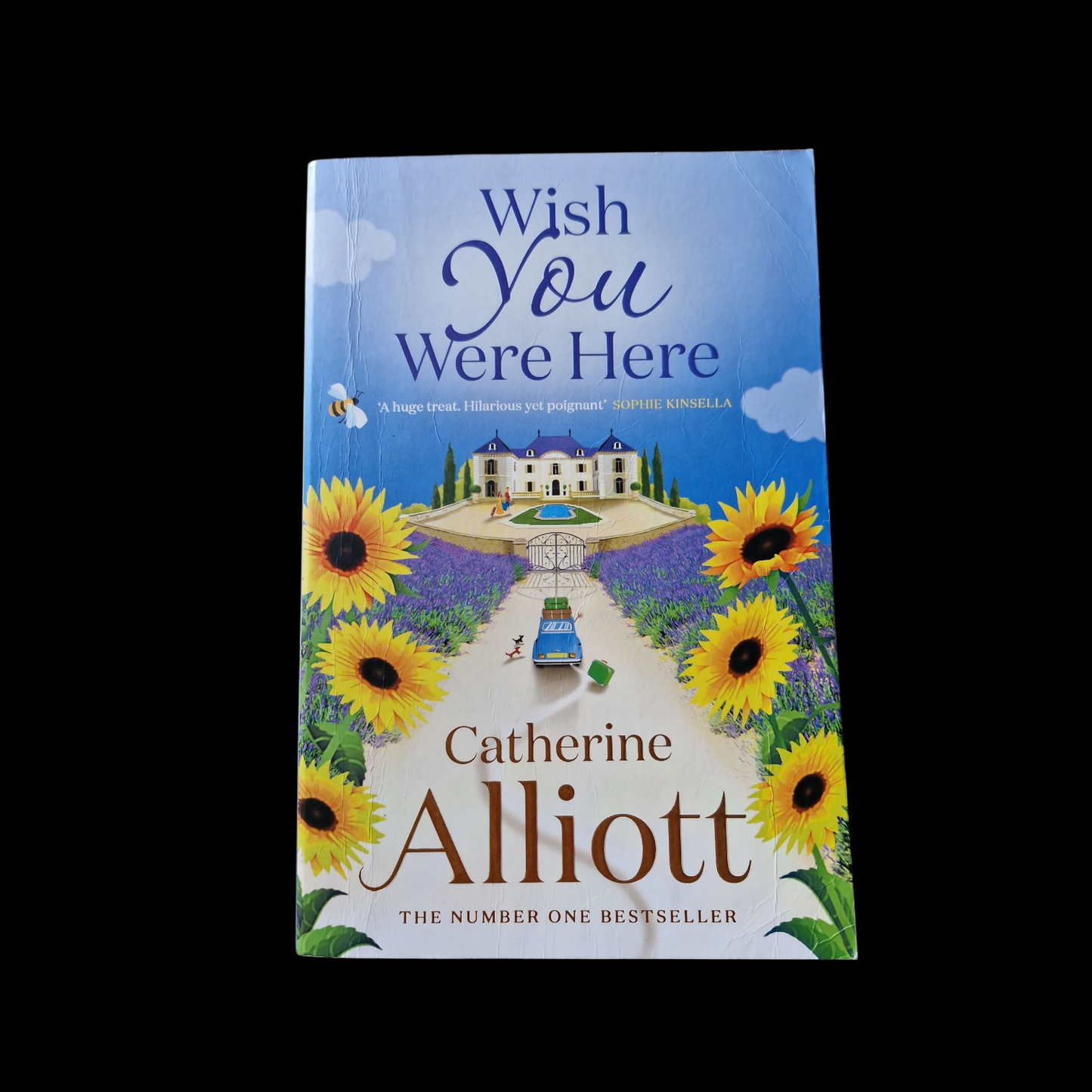 Catherine Alliott- Wish You Were Here