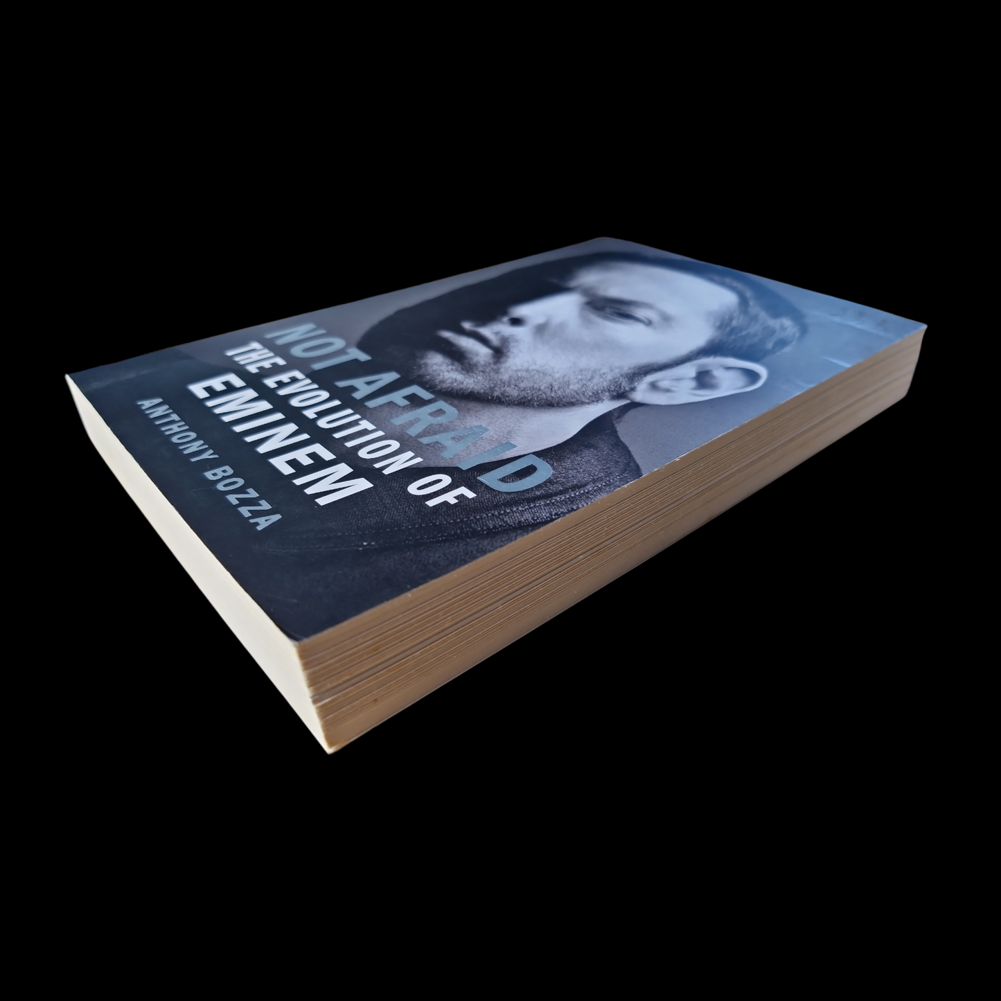 Anthony Bozza- Not Afraid The Evolution of Eminem