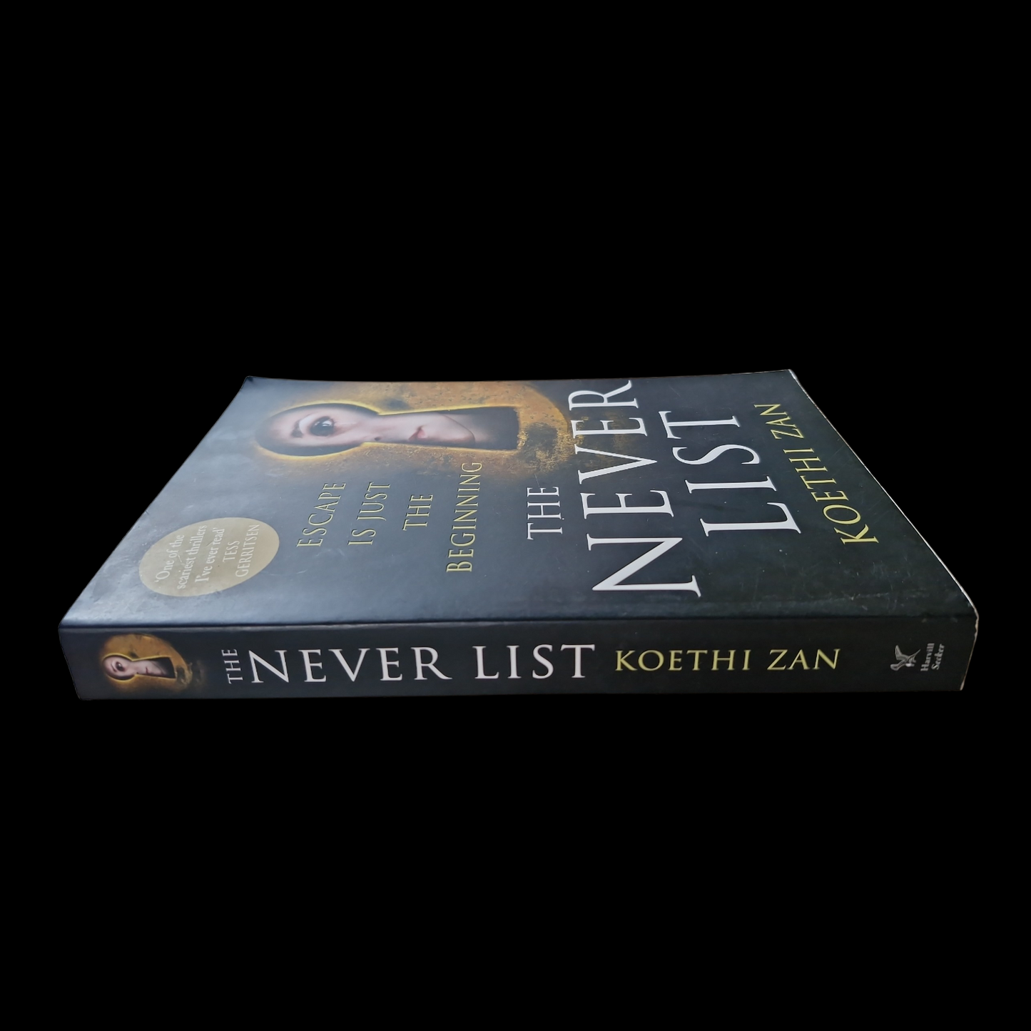 Koethi Zan- The Never List