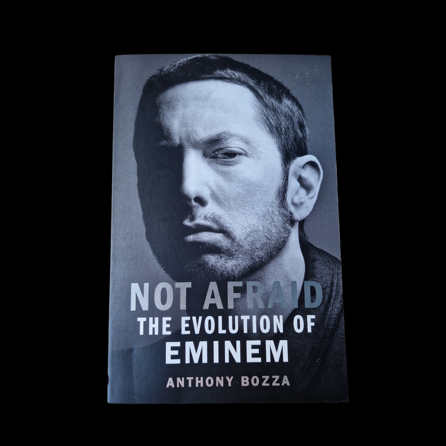 Anthony Bozza- Not Afraid The Evolution of Eminem