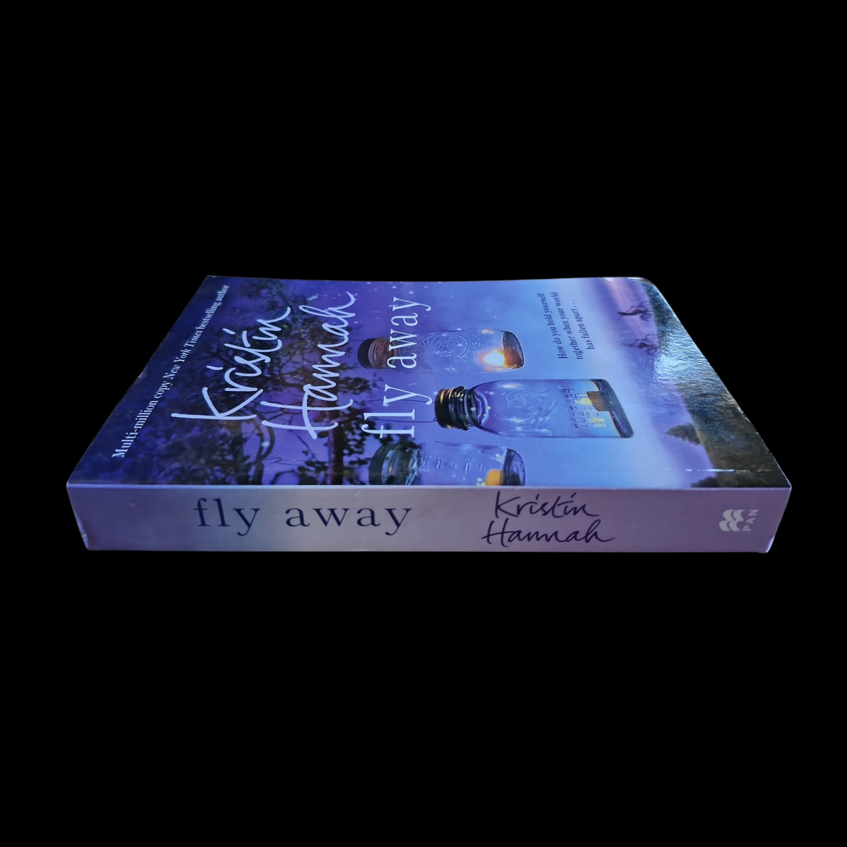 Kristin Hannah- Fly Away