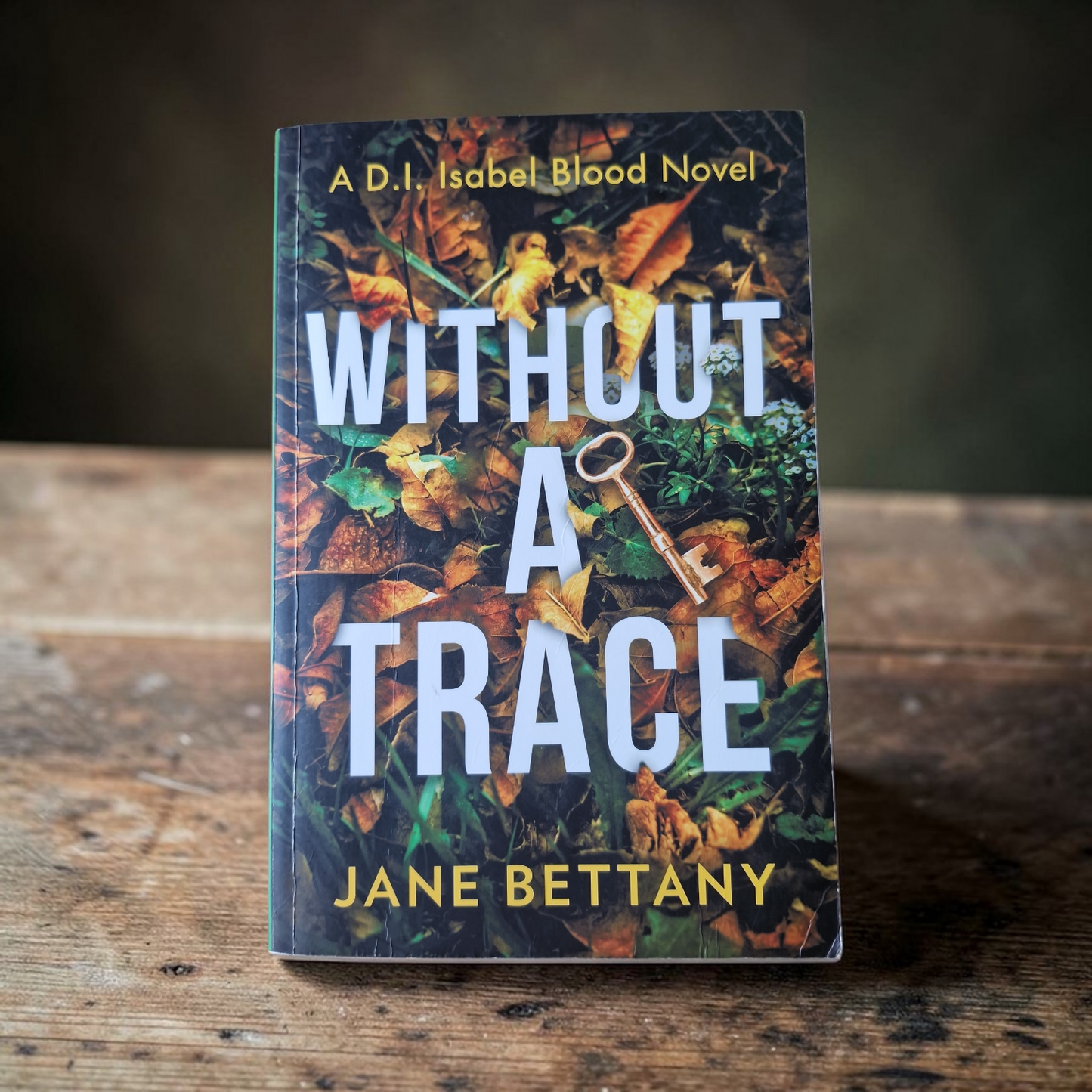Jane Bettany- Without A Trace
