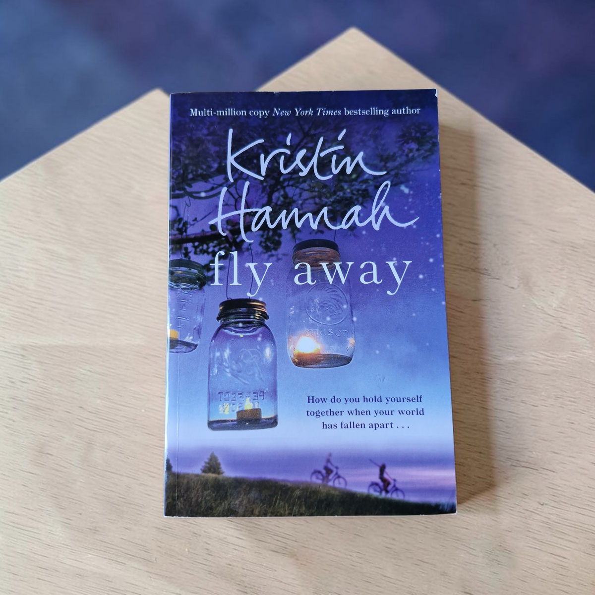 Kristin Hannah- Fly Away
