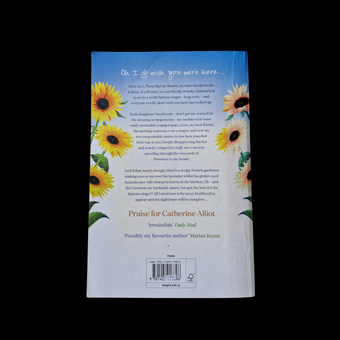 Catherine Alliott- Wish You Were Here