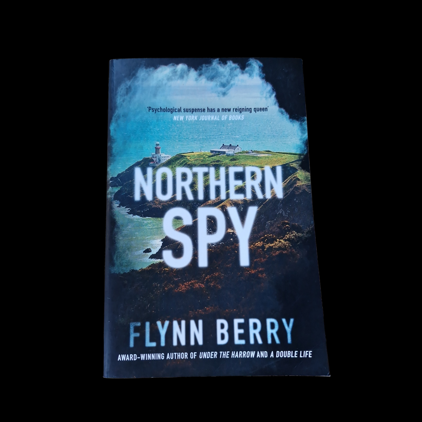 Flynn Berry- Northern Spy