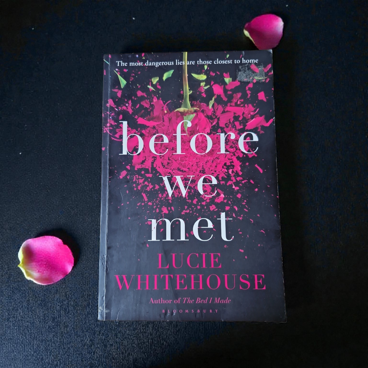Lucie Whitehouse- Before We Met