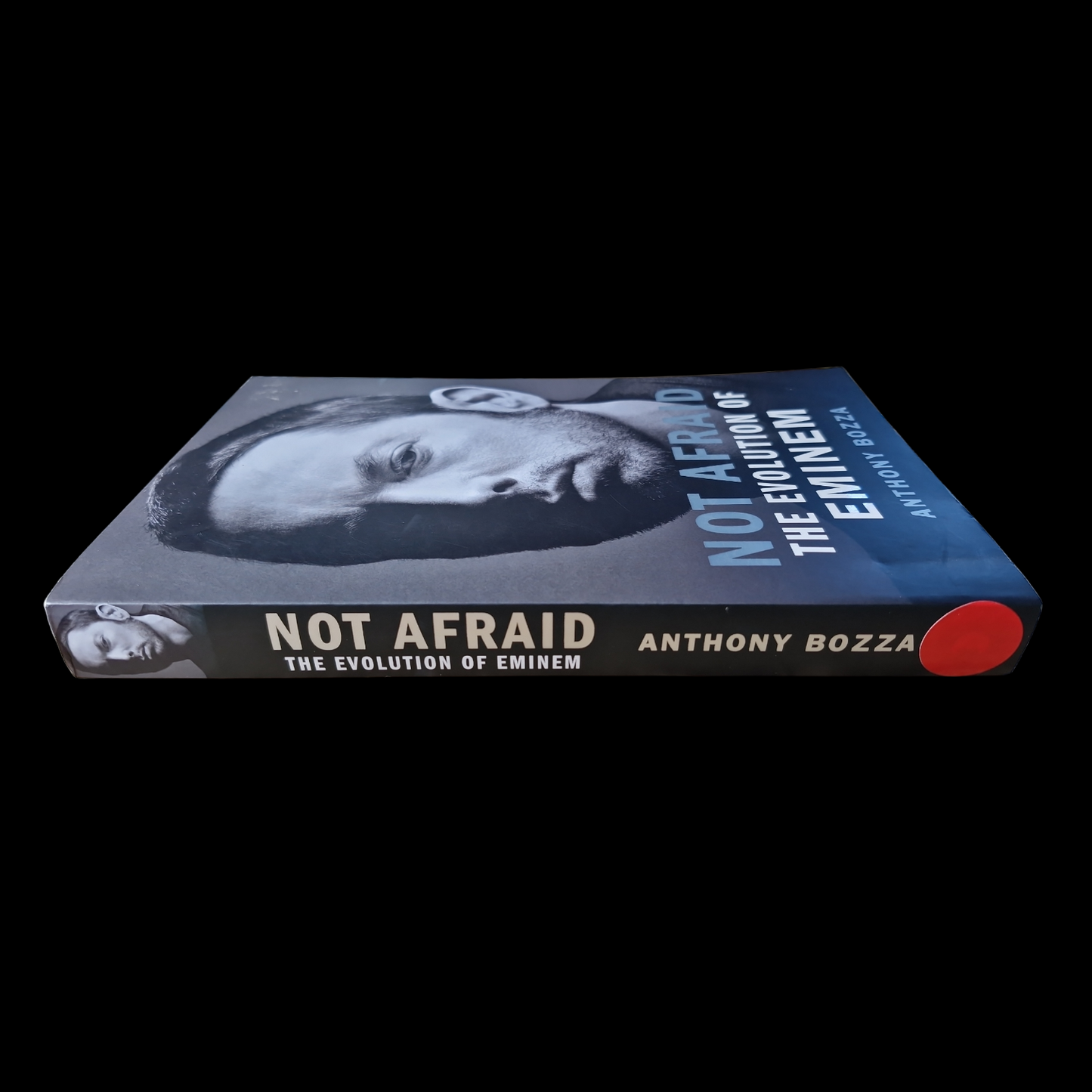Anthony Bozza- Not Afraid The Evolution of Eminem