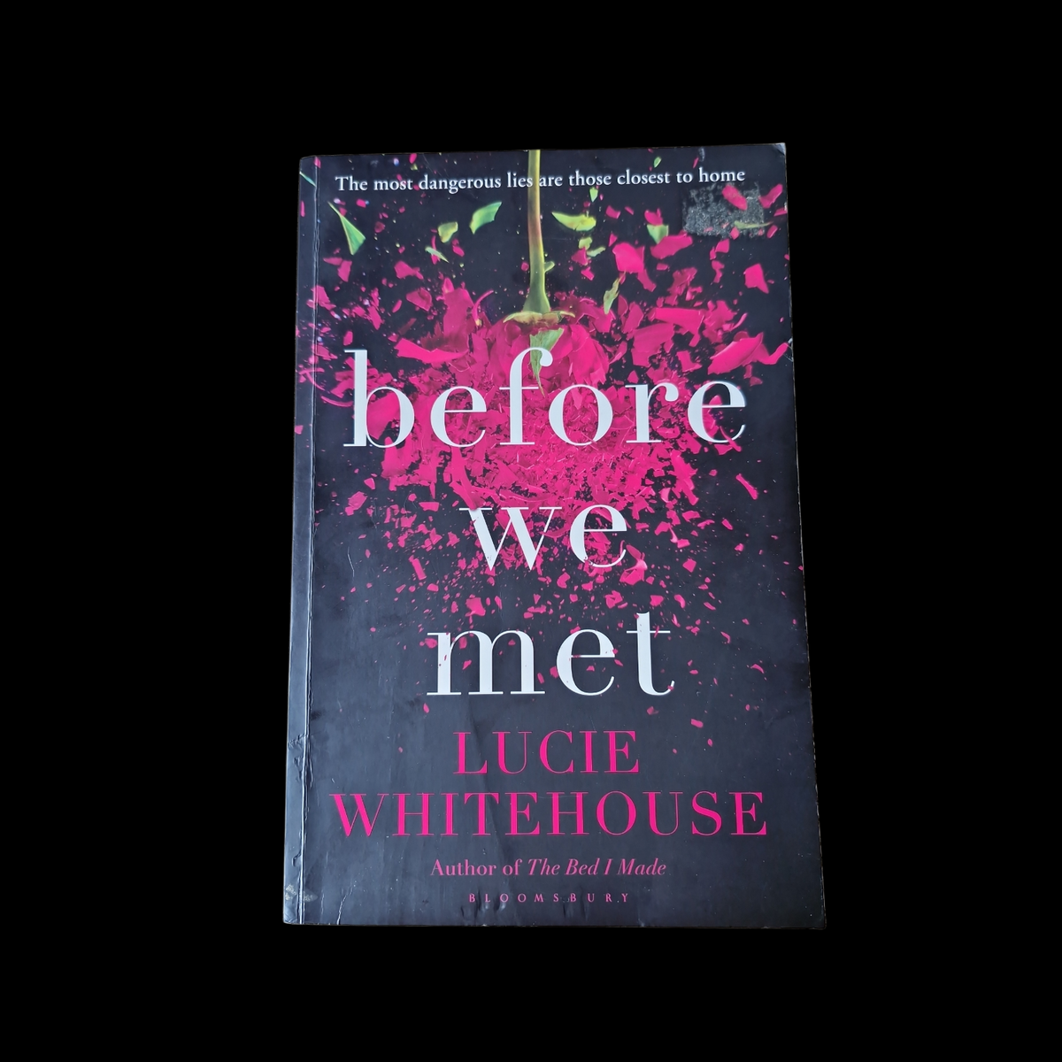Lucie Whitehouse- Before We Met