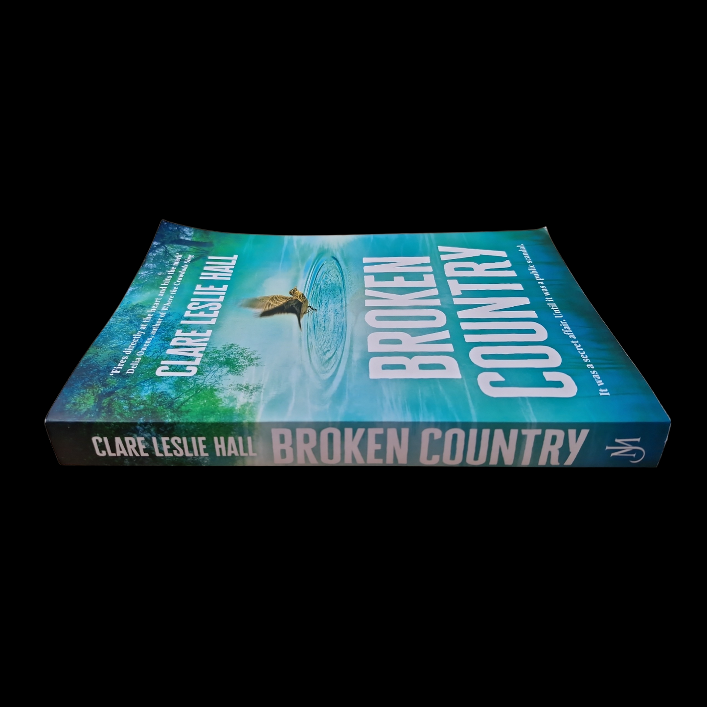 Clare Leslie Hall- Broken Country