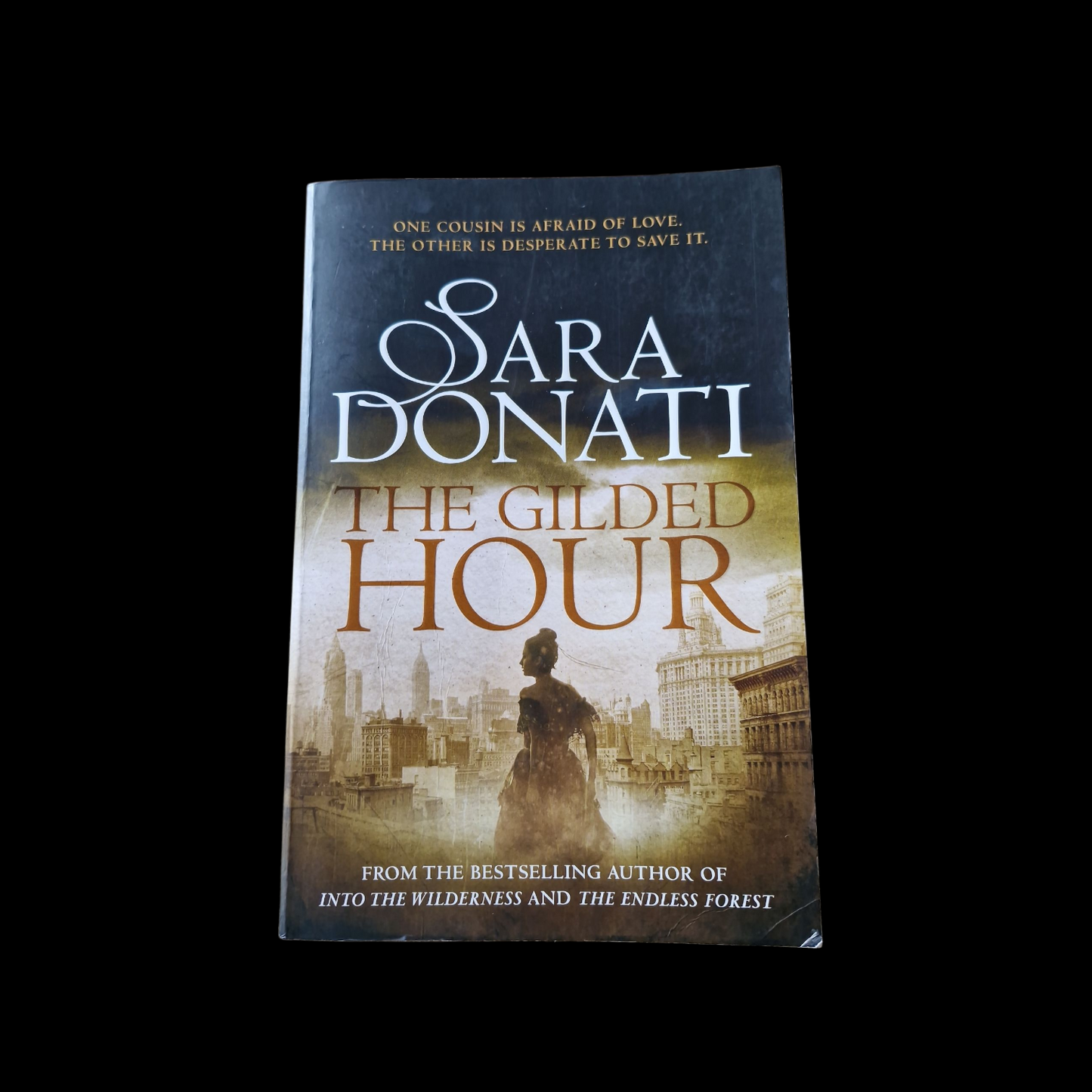 Sara Donati- The Gilded Hour