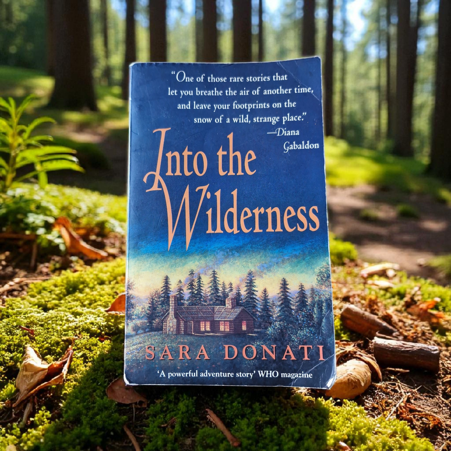 Sara Donati - Into The Wilderness