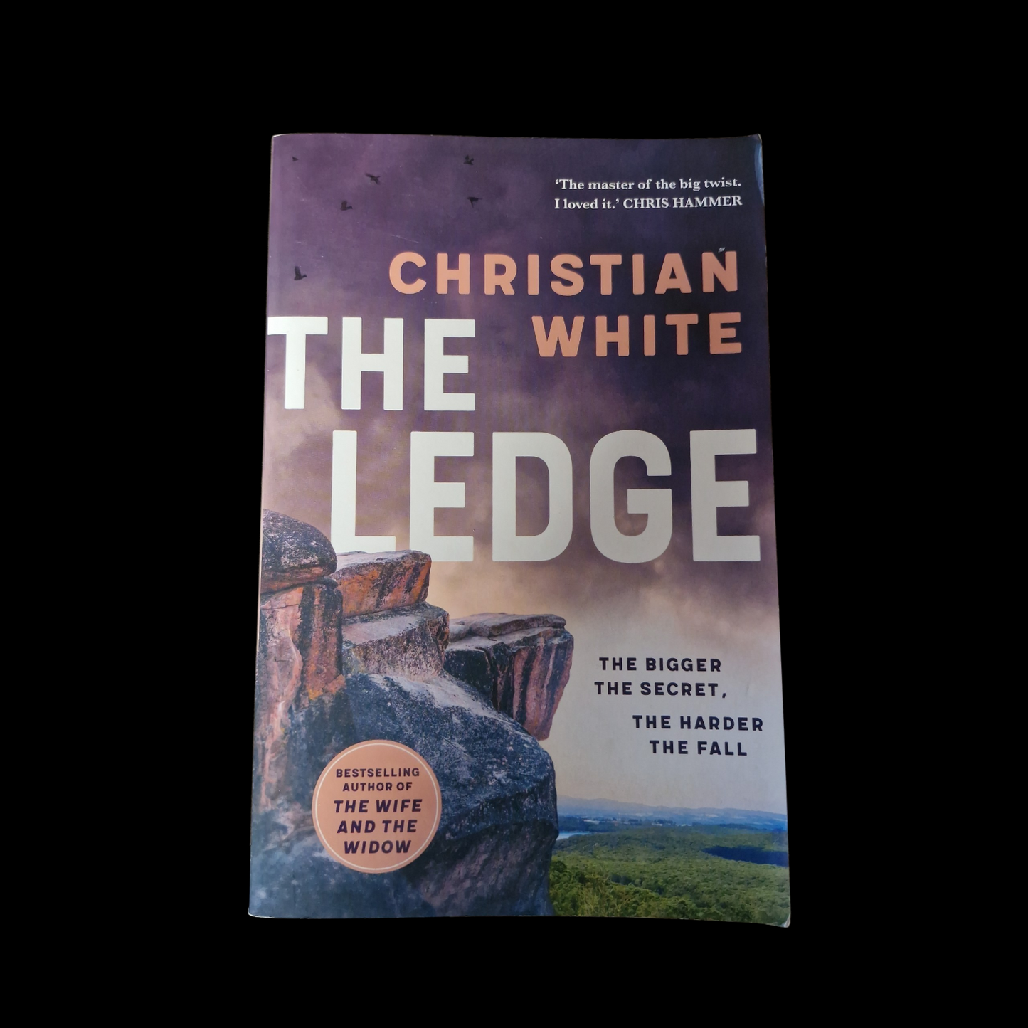 Christian White- The Ledge