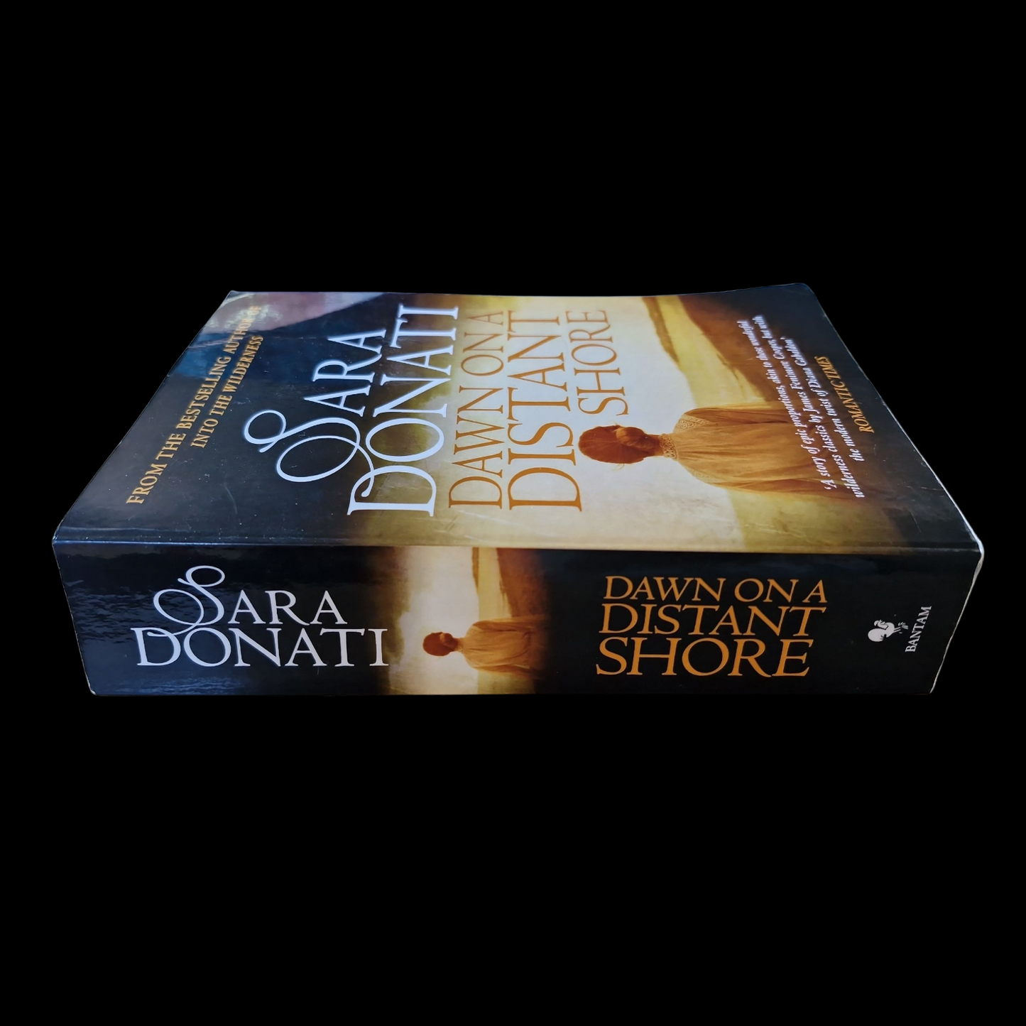 Sara Donati- Dawn On A Distant Shore