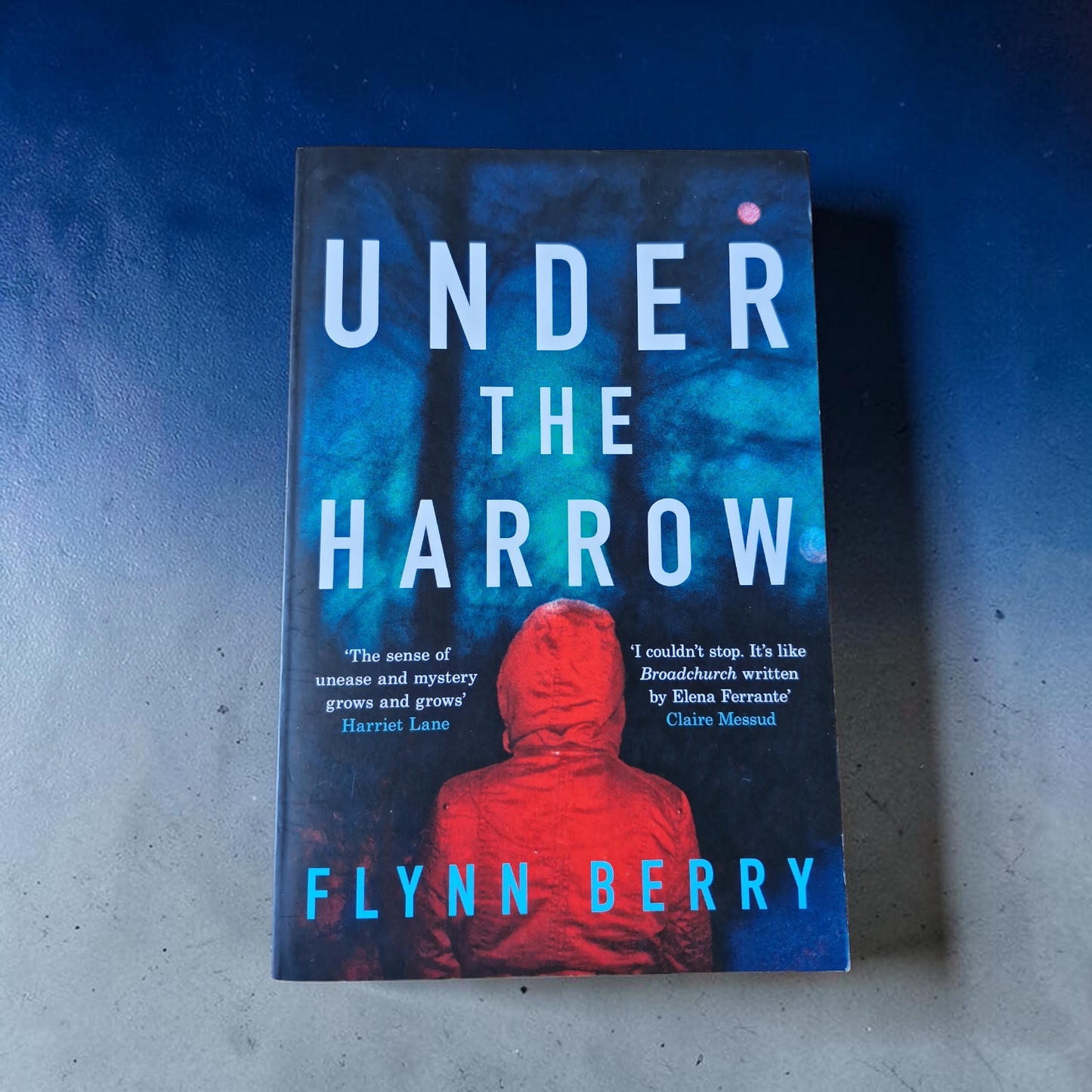 Flynn Berry- Under The Harrow