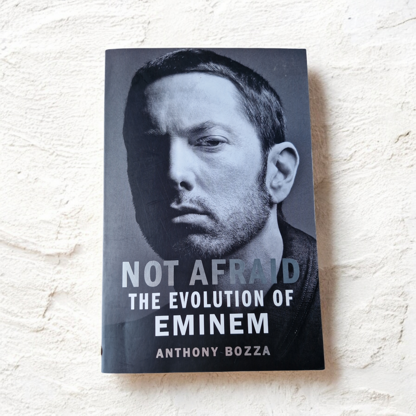 Anthony Bozza- Not Afraid The Evolution of Eminem