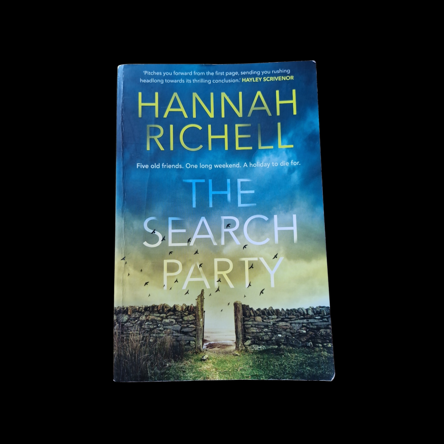 Hannah Richell- The Search Party